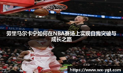 乐动LDSports体育