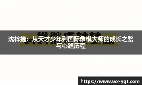 乐动LDSports体育